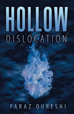 Cover of the book Hollow by Ed Folino
