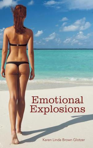 Book cover of Emotional Explosions
