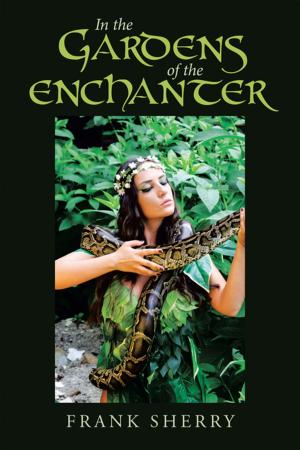 Cover of the book In the Gardens of the Enchanter by Andrew Byrne
