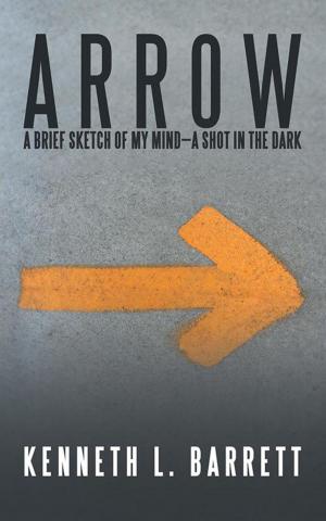 Cover of the book A R R O W by Donny Petersen