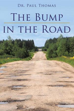 Cover of the book The Bump in the Road by Os Hillman