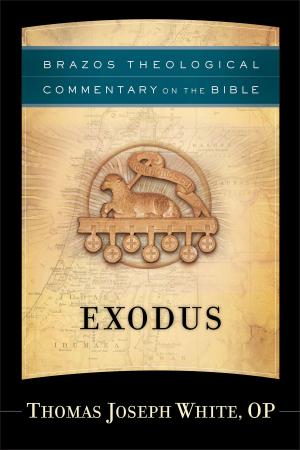 Cover of the book Exodus (Brazos Theological Commentary on the Bible) by Elizabeth Camden