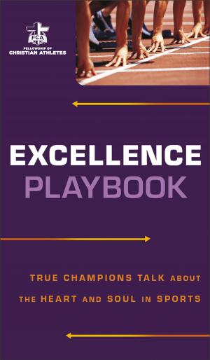 Cover of the book Excellence Playbook by John Wooden, Jay Carty