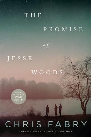 Cover of the book The Promise of Jesse Woods by N.M. Silber