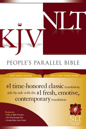 Cover of the book People's Parallel Bible KJV/NLT by Jerry B. Jenkins, Chris Fabry