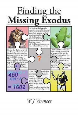 Cover of the book Finding the Missing Exodus by Korie Massey