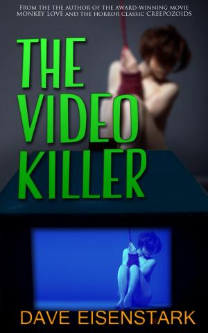 Cover of the book The Video Killer by HC Hammond