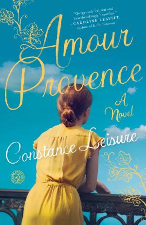 Cover of the book Amour Provence by Lisa Grunwald, Stephen Adler