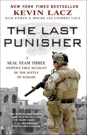 Cover of the book The Last Punisher by Glenn Beck