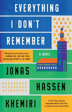 Cover of the book Everything I Don't Remember by 