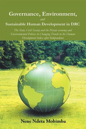 Cover of the book Governance, Environment, and Sustainable Human Development in Drc by Joyce Hurt