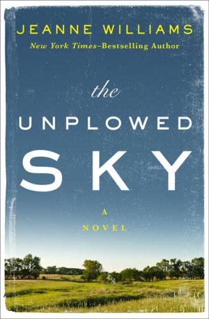 Cover of the book The Unplowed Sky by Luke Short