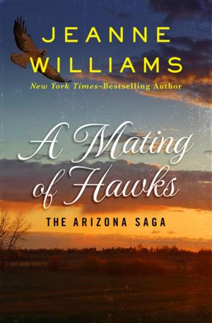 Cover of the book A Mating of Hawks by Jo Ann Ferguson