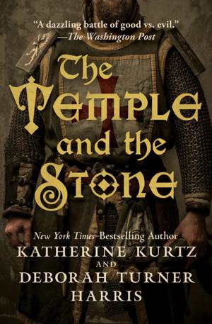 Book cover of The Temple and the Stone