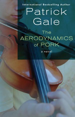 Cover of the book The Aerodynamics of Pork by Lucian K. Truscott IV
