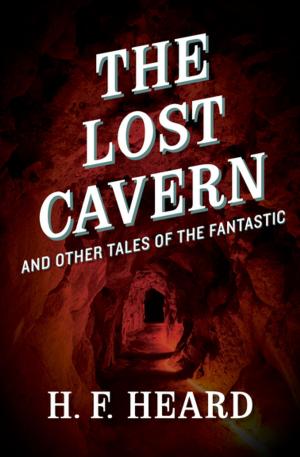 Book cover of The Lost Cavern
