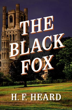 bigCover of the book The Black Fox by 