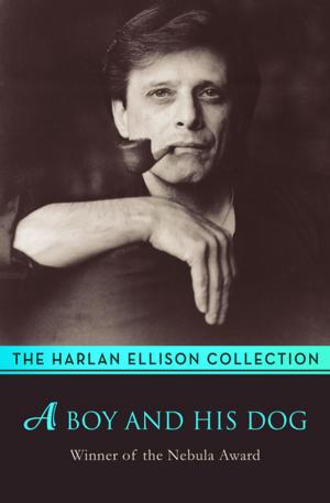 Cover of the book A Boy and His Dog by Erich Fromm
