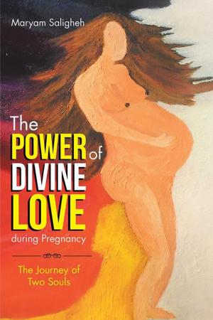 Cover of the book The Power of Divine Love During Pregnancy by Leah Follett