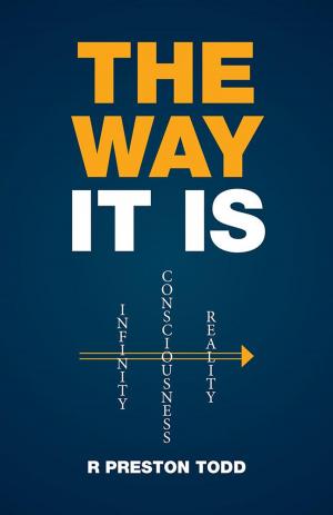 Cover of the book The Way It Is by Sandra Voykin Soukeroff