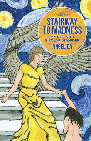 Cover of the book Stairway to Madness by Rebecca Tripp, Bryna René