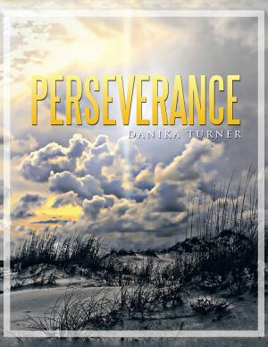 Cover of the book Perseverance by J.J. Lupi