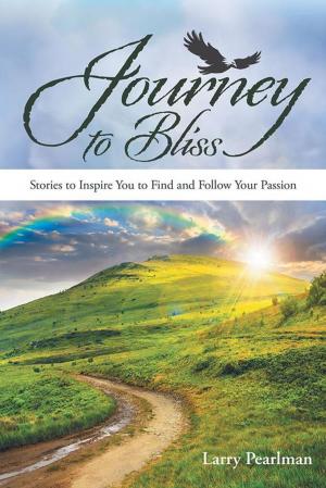 Cover of the book Journey to Bliss by Diana Kushenbach