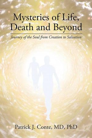 Cover of the book Mysteries of Life, Death and Beyond by Dr. Robin Wallace