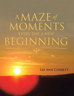 Cover of the book A Maze of Moments Every Day a New Beginning by Marion Ross