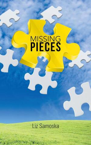 Cover of the book Missing Pieces by Rae Mundy
