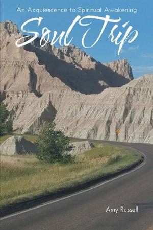 Cover of the book Soul Trip by Regina  R. Carver