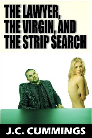 Book cover of The Lawyer, The Virgin, and The Strip Search
