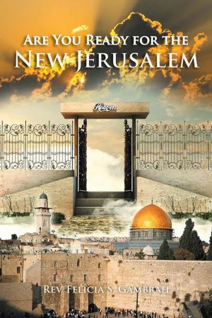 Cover of the book Are You Ready for the New Jerusalem by Charlesea Nelson