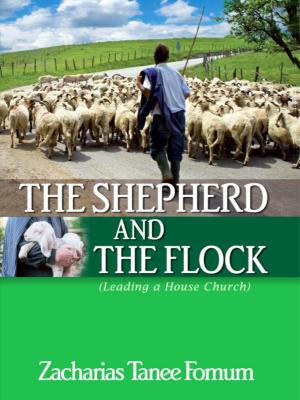 Cover of The Shepherd And The Flock (Leading a House Church)