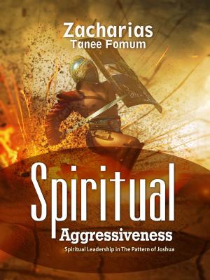 Book cover of Spiritual Aggressiveness (Spiritual Leadership in The Pattern of Joshua)