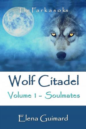 Cover of the book Wolf Citadel volume 1 - Soulmates by Claudio Ruggeri