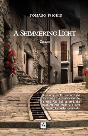 Cover of the book A Shimmering Light by Kyle Richards