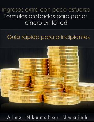 Cover of the book Ingresos extra con poco esfuerzo. Fórmulas probadas para ganar dinero en la red. Guía rápida para principiantes by Borja Loma Barrie