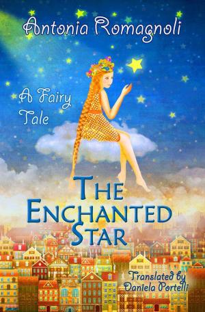 Cover of the book The Enchanted Star by K. Matthew
