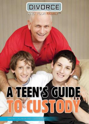Book cover of A Teen's Guide to Custody