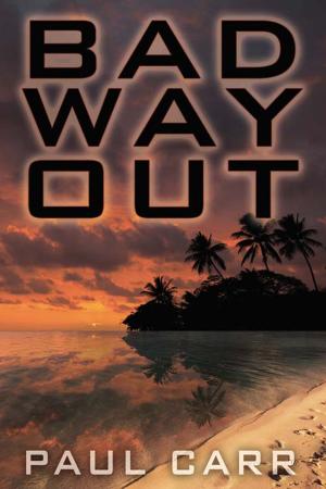 Cover of the book Bad Way Out by Siwa Rubin