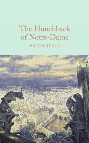 Cover of the book The Hunchback of Notre-Dame by Adrian DINGLE, Dan Green