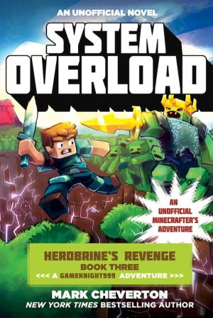 Cover of the book System Overload by Nancy Krulik, Amanda Burwasser
