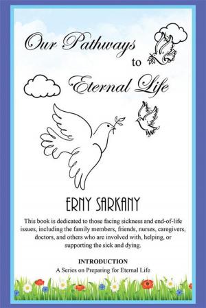 Cover of the book Our Pathways to Eternal Life by John David Haffenden