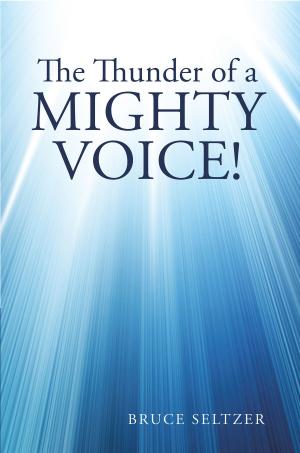 Cover of the book The Thunder of a Mighty Voice! by Nancy Elizabeth Phillips