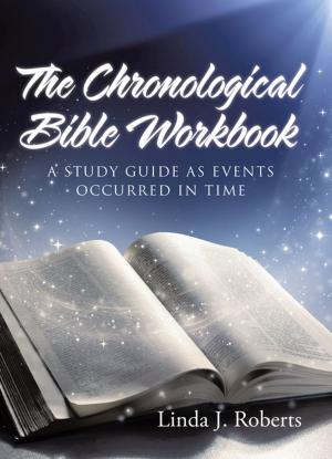 Book cover of The Chronological Bible Workbook