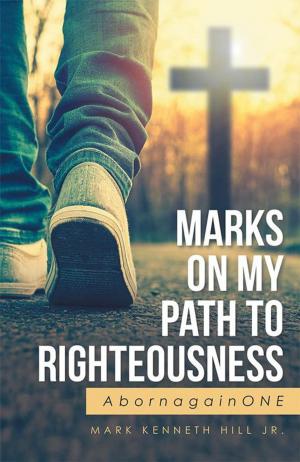 Book cover of Marks on My Path to Righteousness