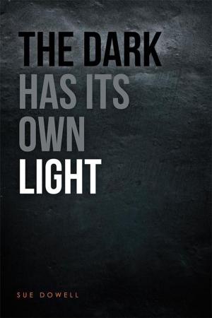Cover of the book The Dark Has Its Own Light by Eric E. Redic