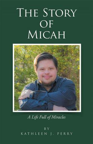 Cover of the book The Story of Micah by Michael E. Pfeil