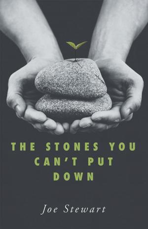 Cover of the book The Stones You Can't Put Down by Steve Bremner